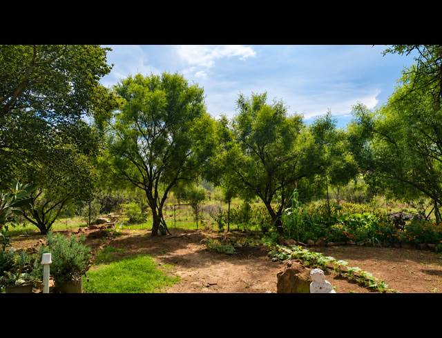 214,138M² FARM FOR SALE IN WELVERDIEND AH